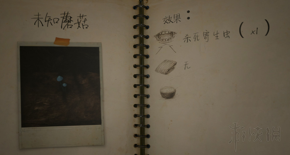 《綠色地獄》陷阱怎麽製作?工具配方及淨水採集等玩法技巧詳解 《綠色地獄》陷阱怎麽製作?工具配方及淨水採集等玩法技巧詳解