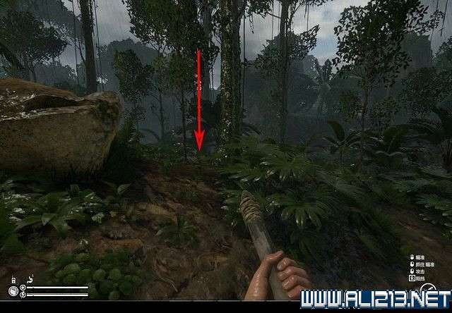 《綠色地獄》新手入門教學圖文詳解 全關卡玩法技巧詳解【完結】 《綠色地獄》新手入門教學圖文詳解 全關卡玩法技巧詳解【完結】