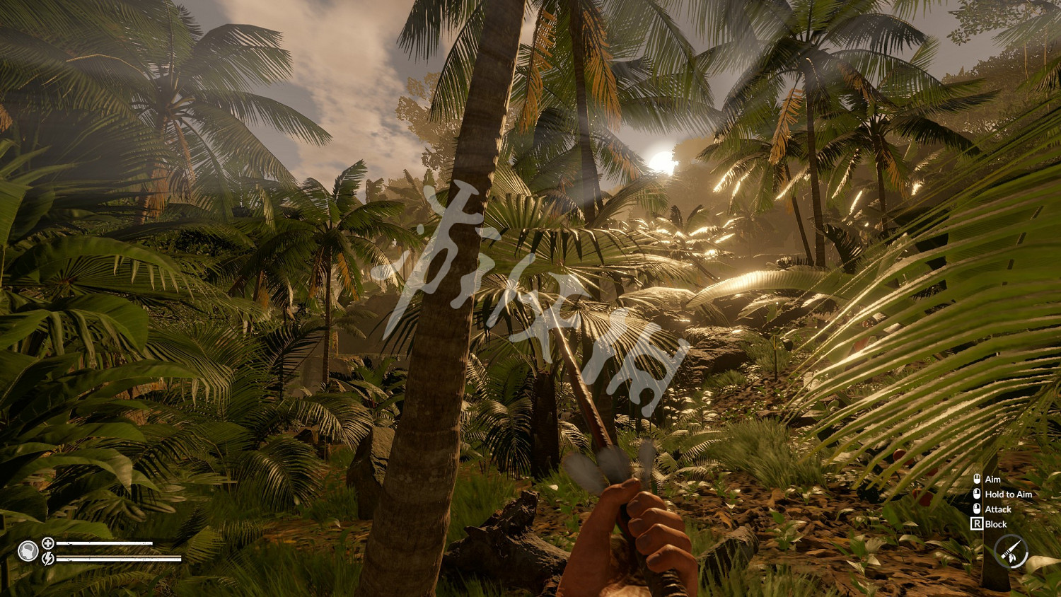 《綠色地獄》受傷怎麽辦 受傷解決方法分享 《綠色地獄》受傷怎麽辦 受傷解決方法分享