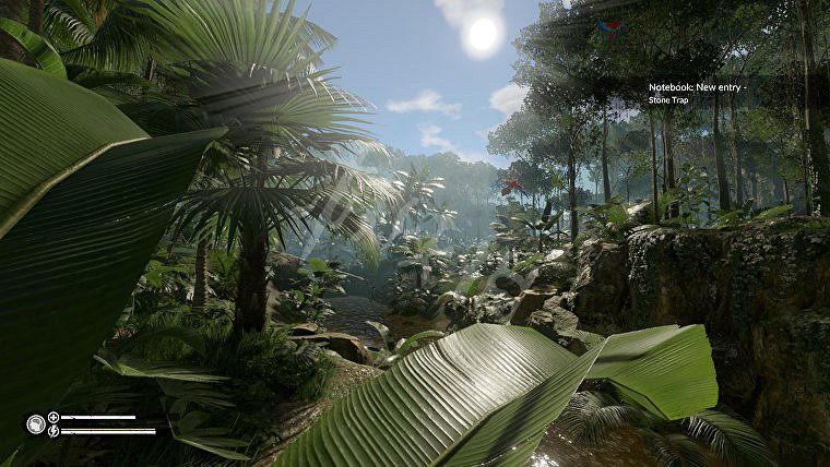 《綠色地獄》注意什麽 新手生存攻略介紹一覽 《綠色地獄》注意什麽 新手生存攻略介紹一覽