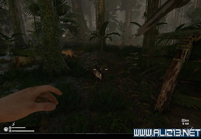 《綠色地獄》新手入門教學圖文詳解 全關卡玩法技巧詳解【完結】 《綠色地獄》新手入門教學圖文詳解 全關卡玩法技巧詳解【完結】