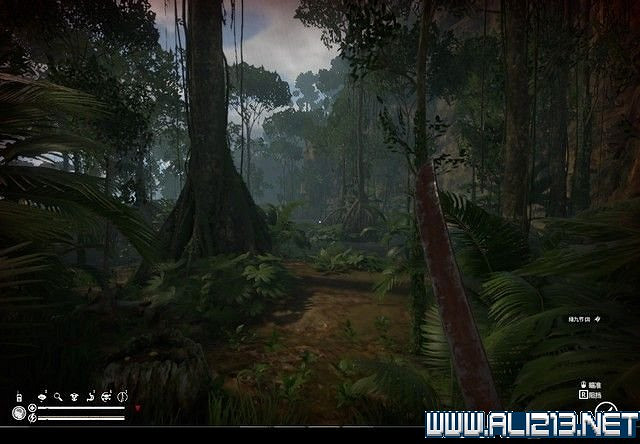 《綠色地獄》新手入門教學圖文詳解 全關卡玩法技巧詳解【完結】 《綠色地獄》新手入門教學圖文詳解 全關卡玩法技巧詳解【完結】