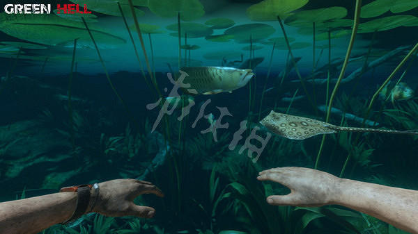 《綠色地獄》劇情分析 綠色地獄遊戲劇情講的是什麽? 《綠色地獄》劇情分析 綠色地獄遊戲劇情講的是什麽?