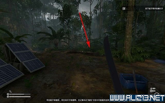 《綠色地獄》新手入門教學圖文詳解 全關卡玩法技巧詳解【完結】 《綠色地獄》新手入門教學圖文詳解 全關卡玩法技巧詳解【完結】