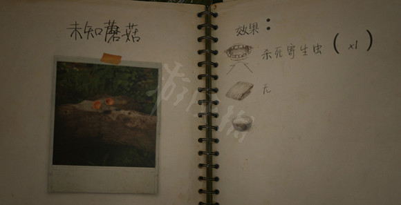 《綠色地獄》寄生蟲怎麽治 寄生蟲治療方法介紹 《綠色地獄》寄生蟲怎麽治 寄生蟲治療方法介紹