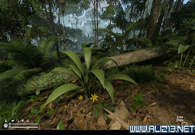 《綠色地獄》新手入門教學圖文詳解 全關卡玩法技巧詳解【完結】 《綠色地獄》新手入門教學圖文詳解 全關卡玩法技巧詳解【完結】