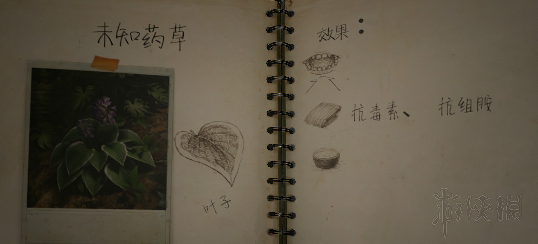 《綠色地獄》陷阱怎麽製作?工具配方及淨水採集等玩法技巧詳解 《綠色地獄》陷阱怎麽製作?工具配方及淨水採集等玩法技巧詳解