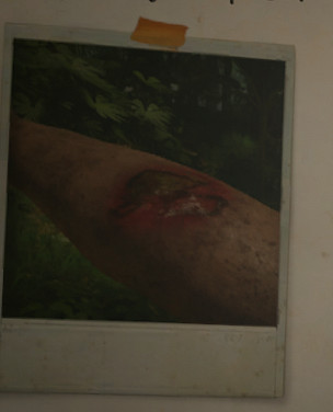 《綠色地獄》新手入門攻略 物品製作一覽 《綠色地獄》新手入門攻略 物品製作一覽