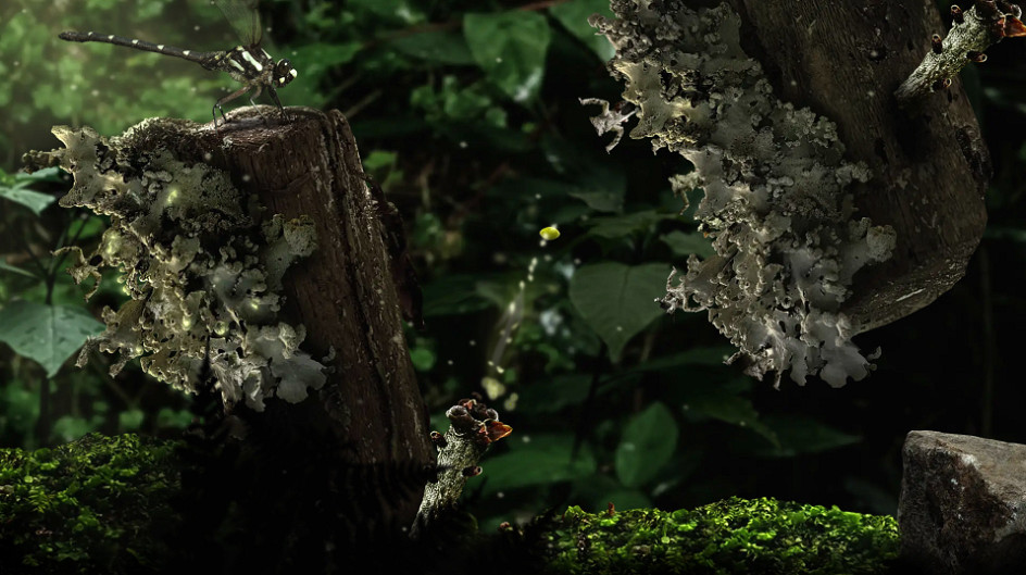 休閒解謎遊戲《Seedlings》明年4月上線Steam 官方發佈預告片 休閒解謎遊戲《Seedlings》明年4月上線Steam 官方發佈預告片