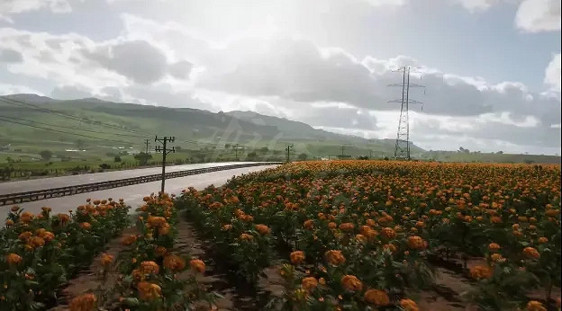 《極限競速地平線5》有哪些地圖?地圖介紹 《極限競速地平線5》有哪些地圖?地圖介紹