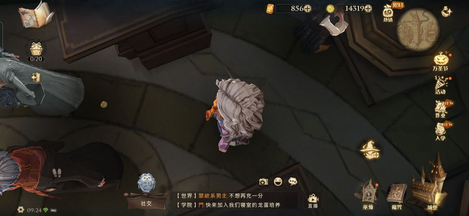 據說蘿賓和費舍爾兄弟在球場吵了起來 哈利波特拼圖尋寶11.10