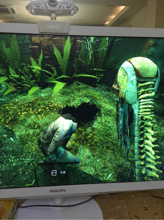 《黎明死線》萌新玩法經驗全紀錄 《黎明死線》萌新玩法經驗全紀錄