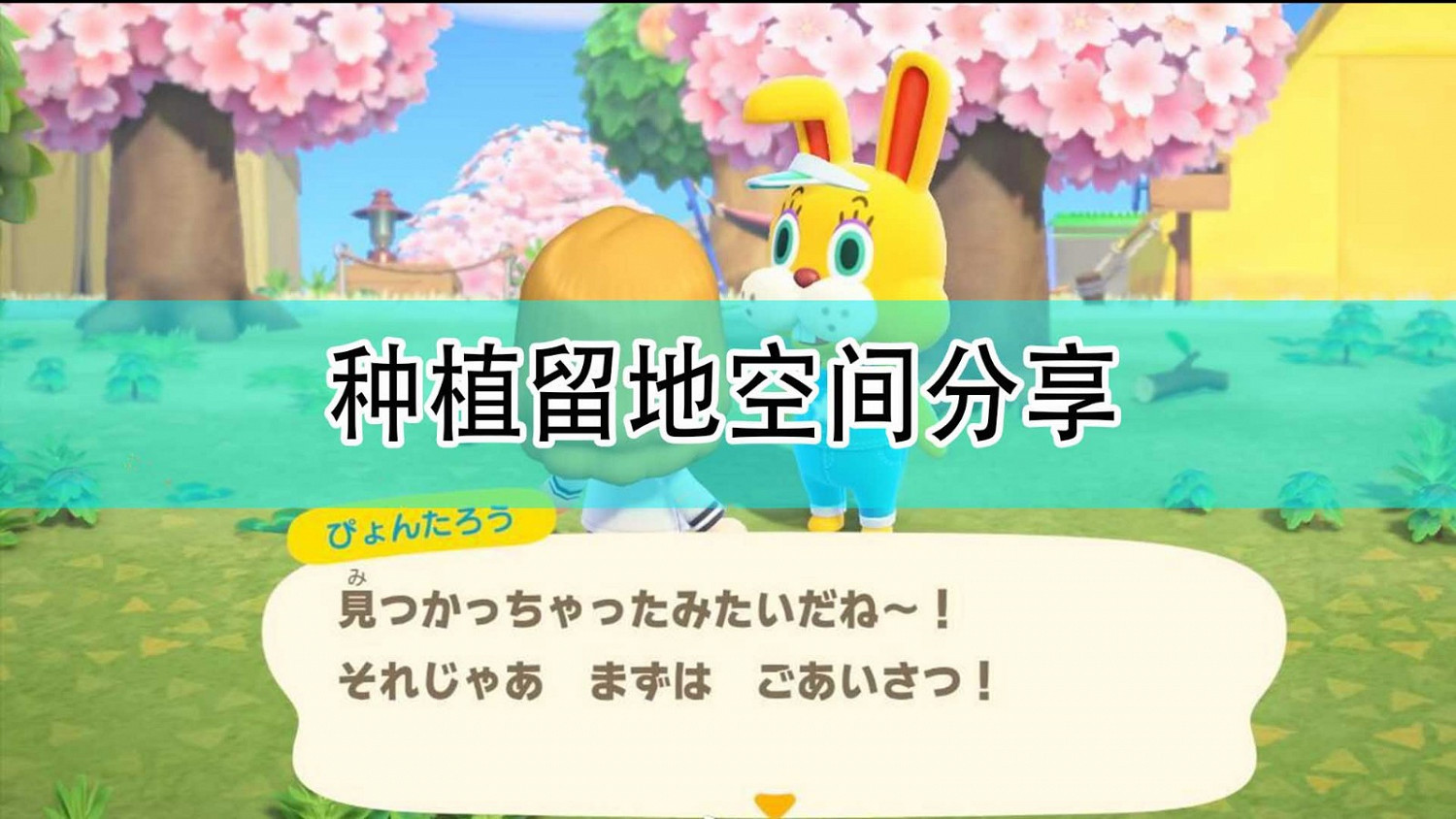 《集合啦!動物森友會》種植留地空間分享 《集合啦!動物森友會》種植留地空間分享