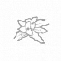 《黎明死線》角色介紹技能大全 人類技能故事全圖文詳解 《黎明死線》角色介紹技能大全 人類技能故事全圖文詳解