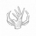 《黎明死線》屠夫可傳授技能一覽 屠夫有哪些技能可以傳授? 《黎明死線》屠夫可傳授技能一覽 屠夫有哪些技能可以傳授?