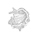 《黎明死線》屠夫可傳授技能一覽 屠夫有哪些技能可以傳授? 《黎明死線》屠夫可傳授技能一覽 屠夫有哪些技能可以傳授?