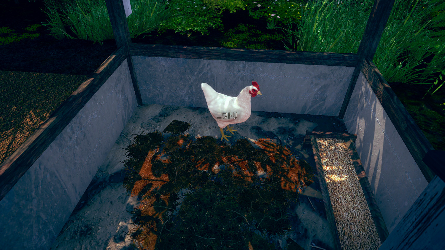 《AI少女》野雞捕捉方法介紹 野雞怎麽獲得 《AI少女》野雞捕捉方法介紹 野雞怎麽獲得