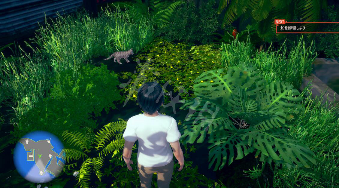 《AI少女》怎麽抓貓？抓貓技巧詳解