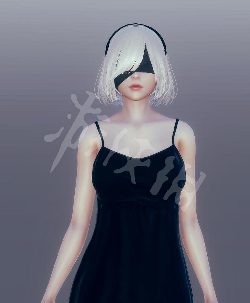 《AI少女》2b捏臉資料使用方法教學 2b捏臉資料分享 《AI少女》2b捏臉資料使用方法教學 2b捏臉資料分享