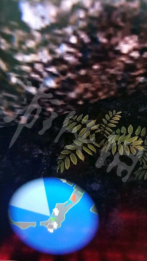 《AI少女》妹子臥床不起怎麽辦 妹子暈倒解決方法