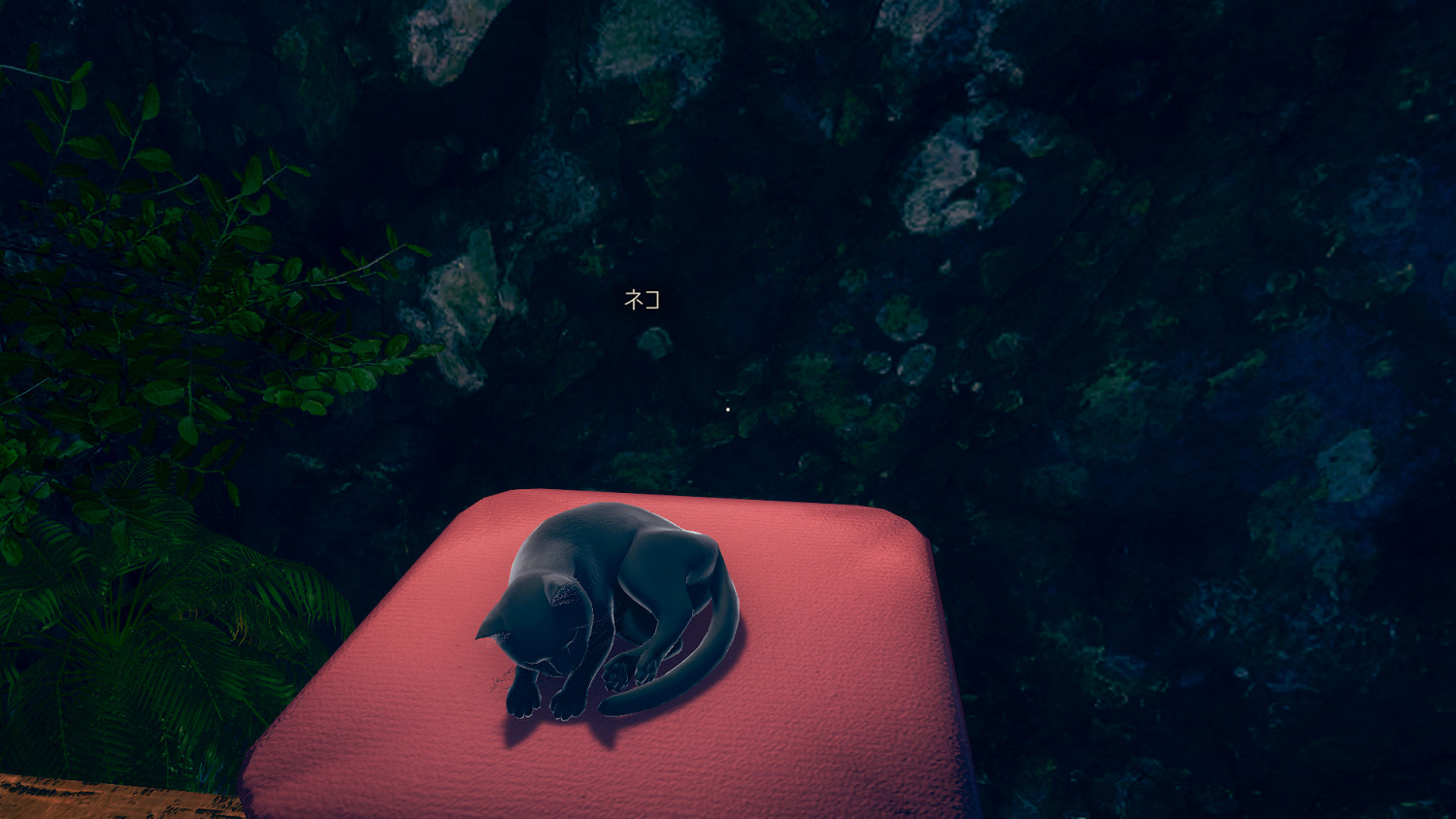 《AI少女》貓咪怎麽獲得 貓咪獲取方法介紹 《AI少女》貓咪怎麽獲得 貓咪獲取方法介紹