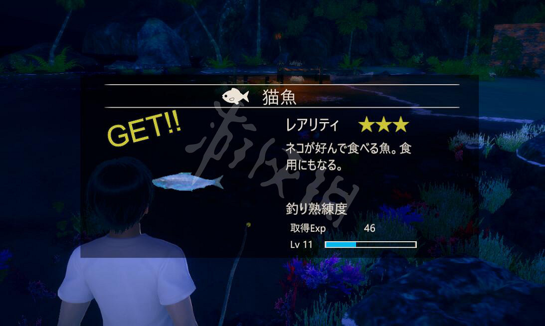 《AI少女》怎麽抓貓？抓貓技巧詳解