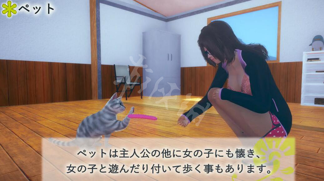 《AI少女》怎麽和動物互動?動物和少女互動技巧分享 《AI少女》怎麽和動物互動?動物和少女互動技巧分享