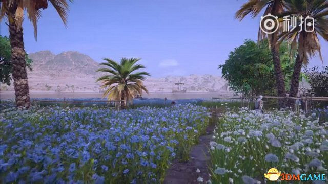 《刺客教條：起源》精美影片：古埃及的自然人文