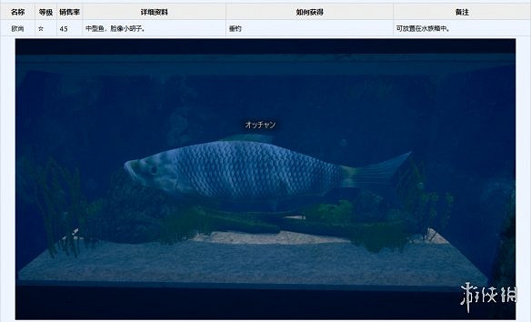 《AI少女》全寵物圖鑒一覽 全寵物獲得方法分享