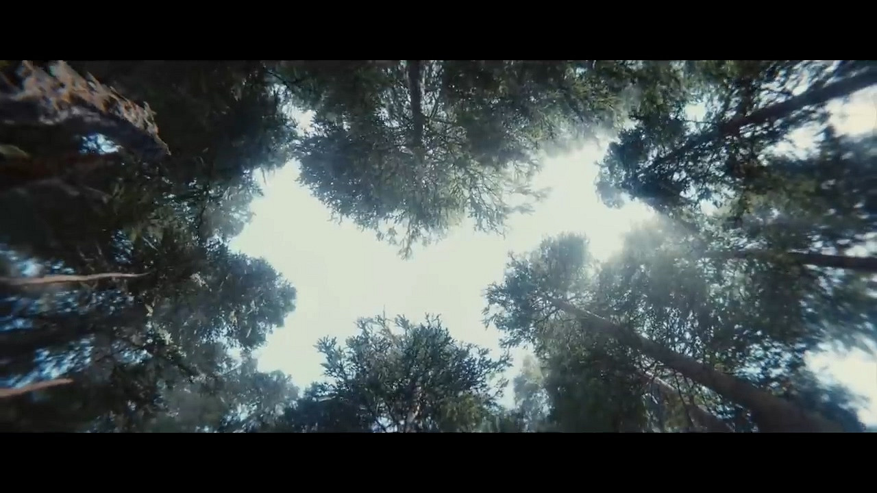 《上古卷軸6》還很遠 但有粉絲自製了一個預告片 “騙”了不少人 《上古卷軸6》還很遠 但有粉絲自製了一個預告片 “騙”了不少人