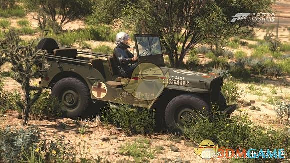 《極限競速：地平線5》二戰風格皮膚分享