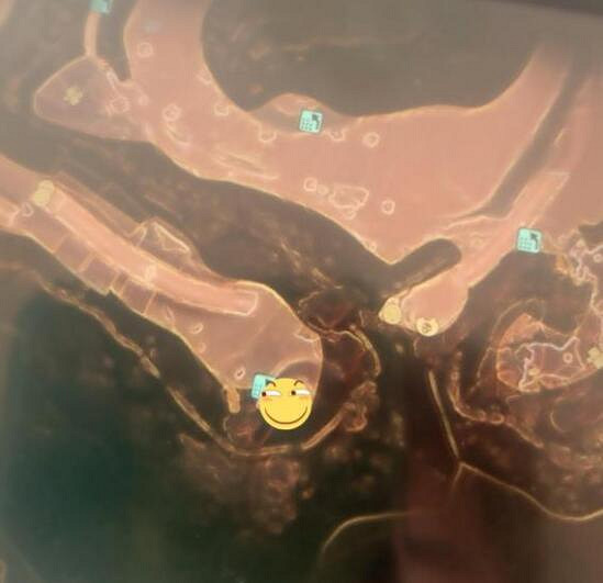 《真·女神轉生5》黃龍將至四神獸在哪？黃龍將至四神獸位置分享