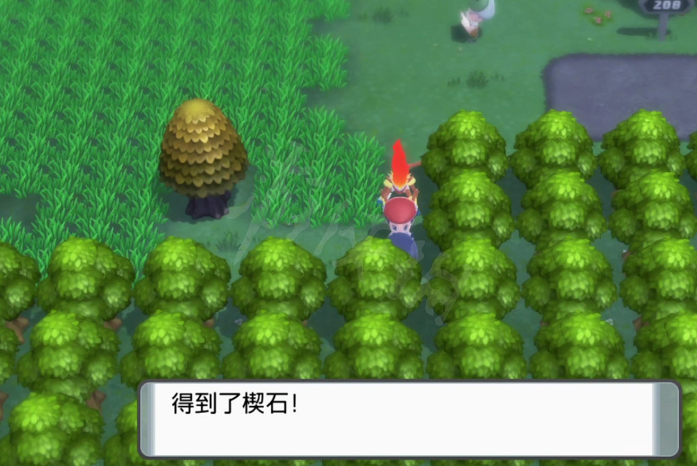 《寶可夢晶燦鑽石明亮珍珠》花岩怪去哪找?花岩怪捕捉指南 《寶可夢晶燦鑽石明亮珍珠》花岩怪去哪找?花岩怪捕捉指南