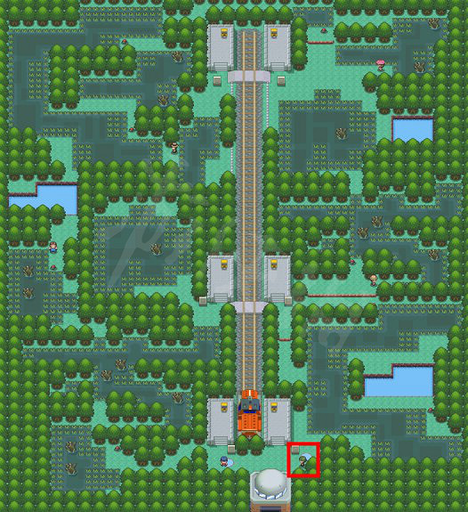 《寶可夢晶燦鑽石明亮珍珠》清除濃霧去哪裡找?清除濃霧技能學習地點 《寶可夢晶燦鑽石明亮珍珠》清除濃霧去哪裡找?清除濃霧技能學習地點