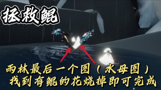 《光遇》11.20任務攻略 11月20日每日任務怎麽做