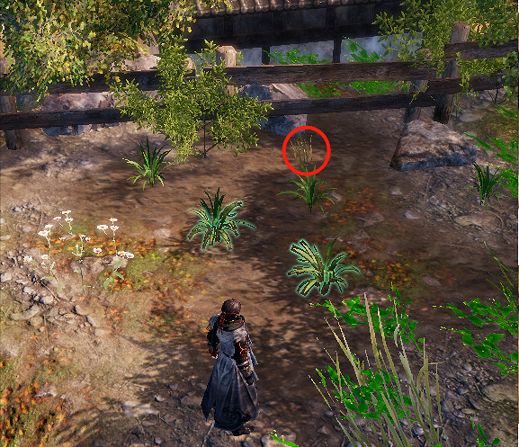 《天命奇御2》廚藝大賽支線任務攻略分享 《天命奇御2》廚藝大賽支線任務攻略分享