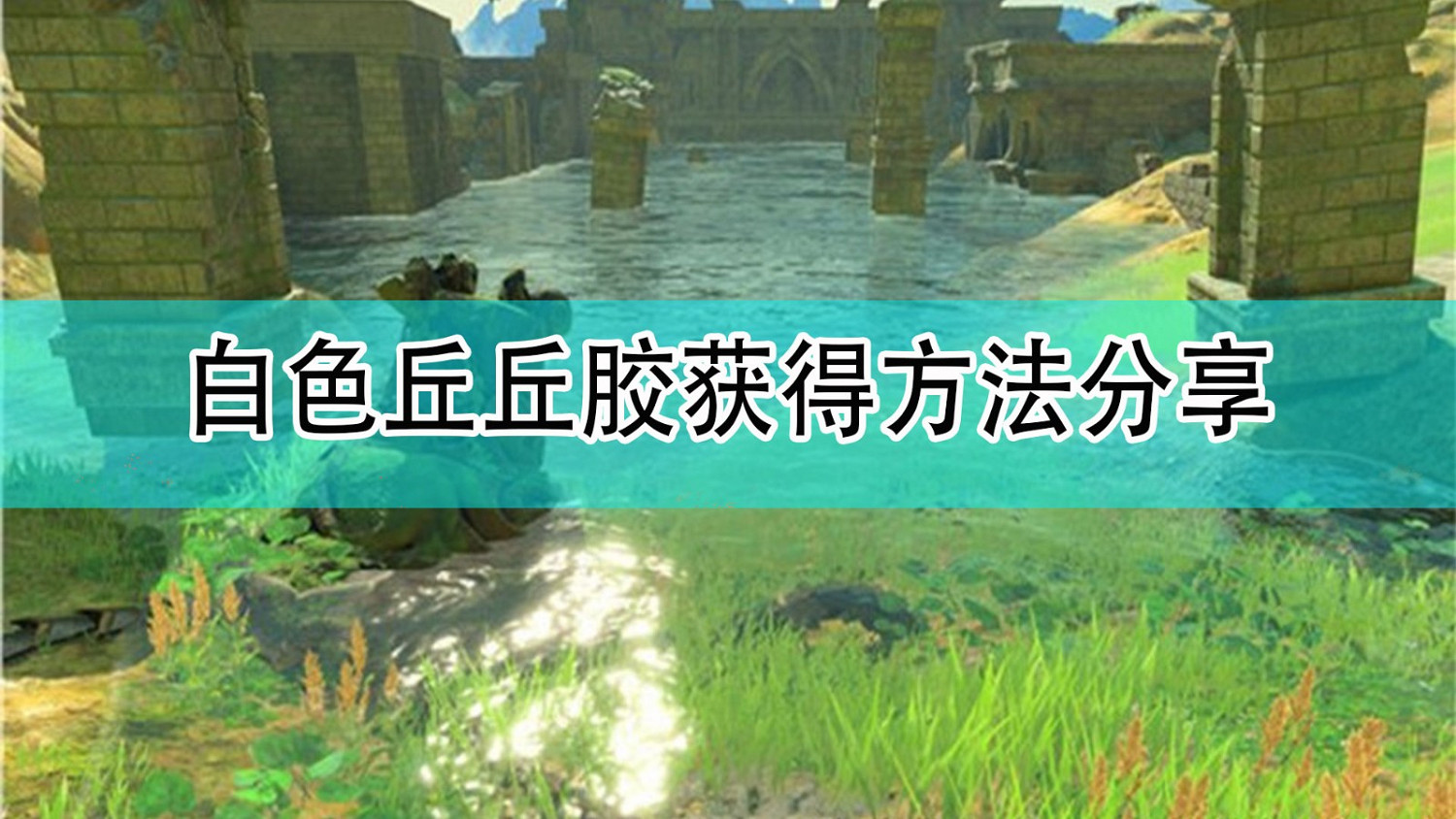 《薩爾達傳說:曠野之息》白色丘丘膠獲得方法分享 《薩爾達傳說:曠野之息》白色丘丘膠獲得方法分享