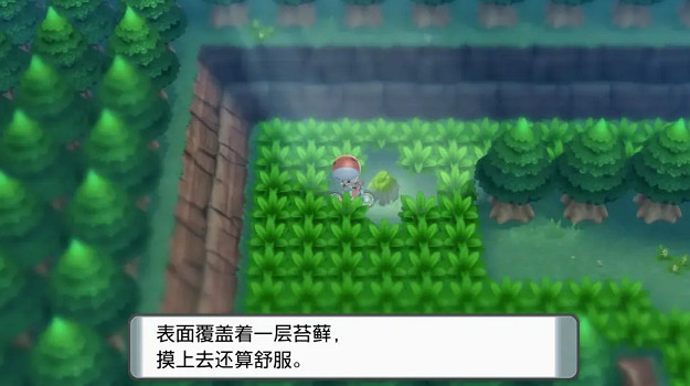 《寶可夢晶燦鑽石明亮珍珠》伊布怎麽進化?伊布家族進化方式一覽 《寶可夢晶燦鑽石明亮珍珠》伊布怎麽進化?伊布家族進化方式一覽