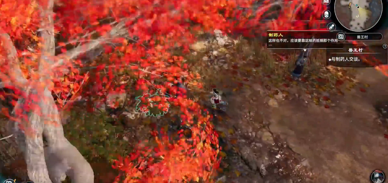 《天命奇御2》調查紫石英任務怎麽做？天命奇御2調查紫石英攻略分享