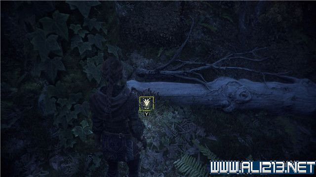 《瘟疫傳說無罪》怎麽解謎?全通關流程+全謎題解謎圖文攻略【完結】 《瘟疫傳說無罪》怎麽解謎?全通關流程+全謎題解謎圖文攻略【完結】