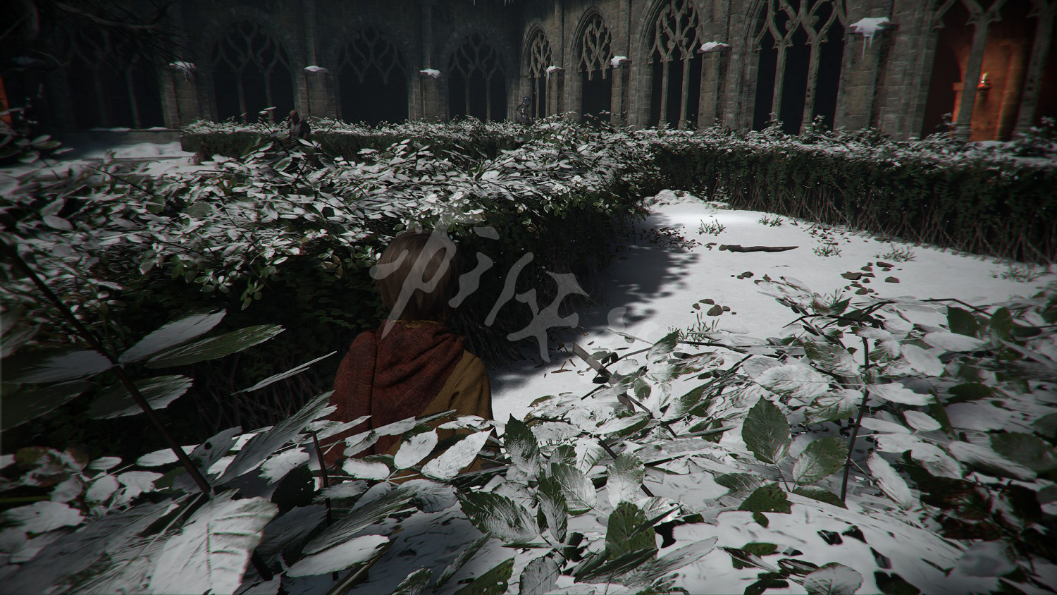 《瘟疫傳說無罪》收集攻略大全 全奇珍+全禮物+全植物標本收集攻略