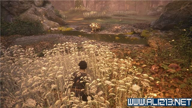 《瘟疫傳說無罪》德盧恩的遺產圖文流程攻略 德盧恩的遺產過關流程 《瘟疫傳說無罪》德盧恩的遺產圖文流程攻略 德盧恩的遺產過關流程