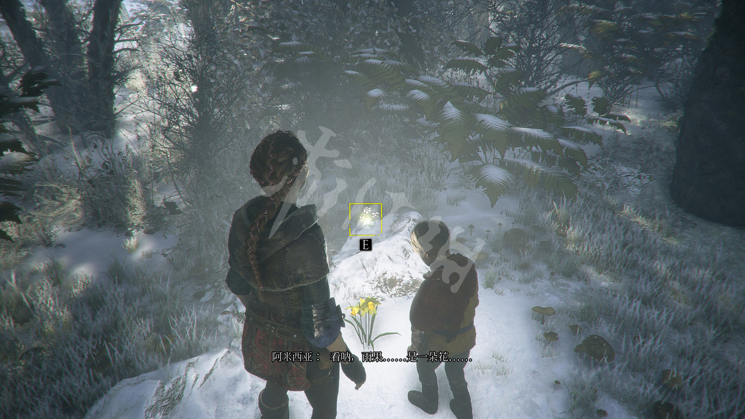 《瘟疫傳說無罪》收集攻略大全 全奇珍+全禮物+全植物標本收集攻略