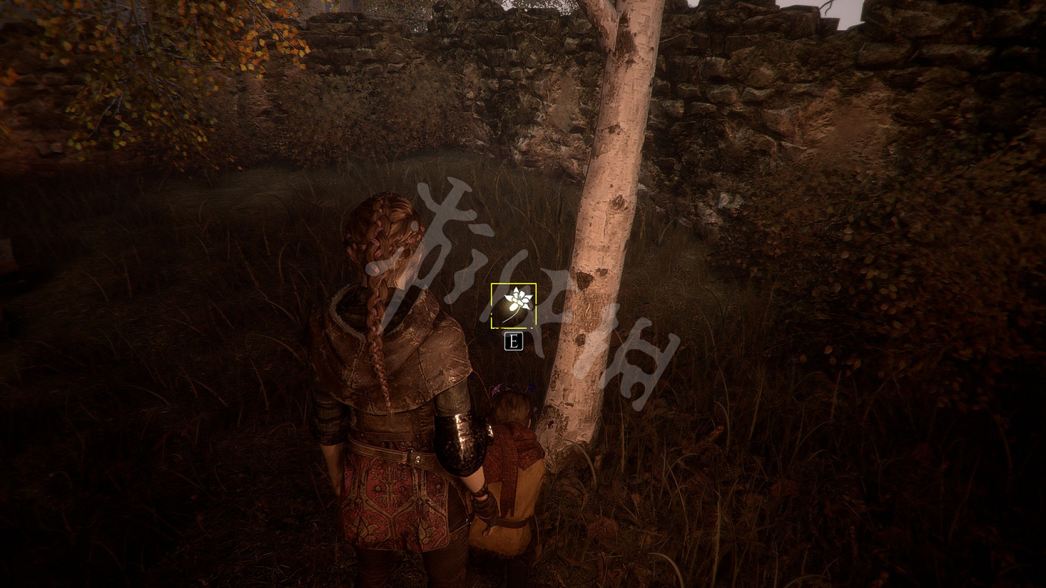 《瘟疫傳說無罪》收集攻略大全 全奇珍+全禮物+全植物標本收集攻略