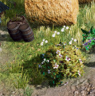 《天命奇御2》長空村傳火任務怎麽玩?長空村傳火任務玩法分享 《天命奇御2》長空村傳火任務怎麽玩?長空村傳火任務玩法分享