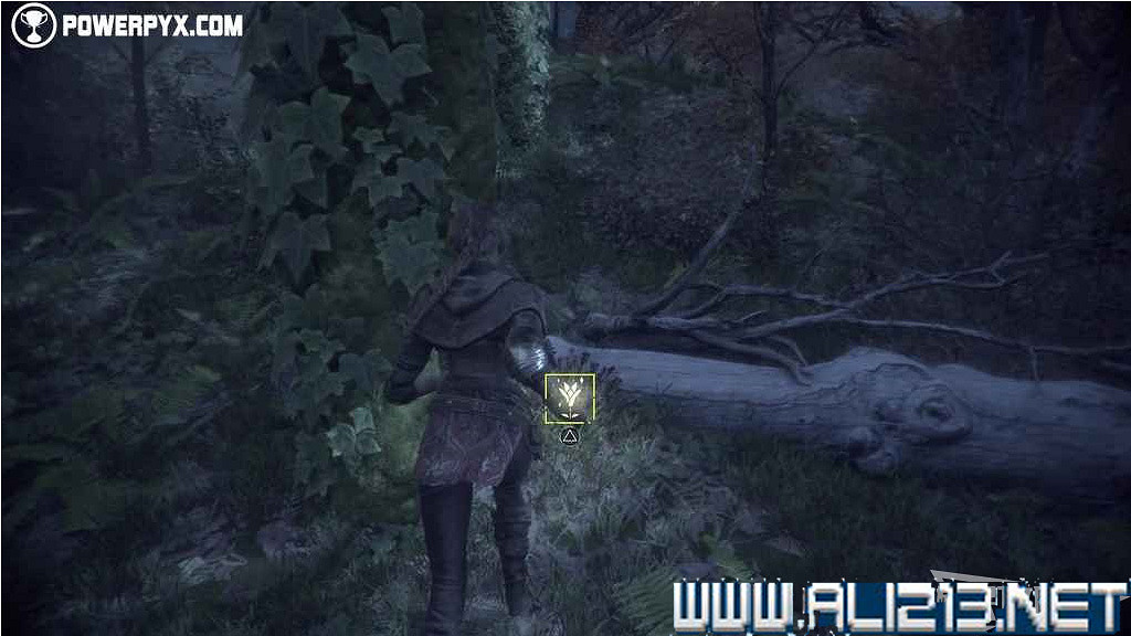 《瘟疫傳說無罪》全植物標本獲得方法介紹 植物標本有哪些 《瘟疫傳說無罪》全植物標本獲得方法介紹 植物標本有哪些