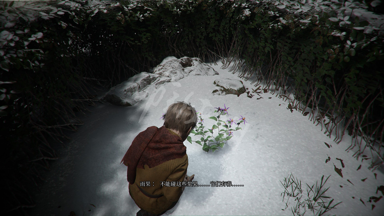 《瘟疫傳說無罪》收集攻略大全 全奇珍+全禮物+全植物標本收集攻略