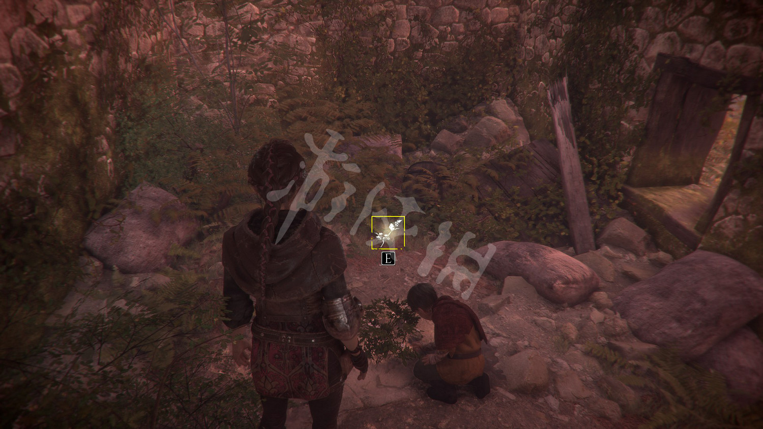 《瘟疫傳說無罪》收集攻略大全 全奇珍+全禮物+全植物標本收集攻略