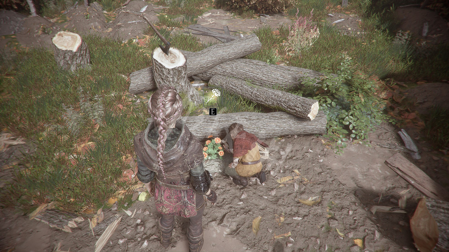 《瘟疫傳說無罪》收集攻略大全 全奇珍+全禮物+全植物標本收集攻略