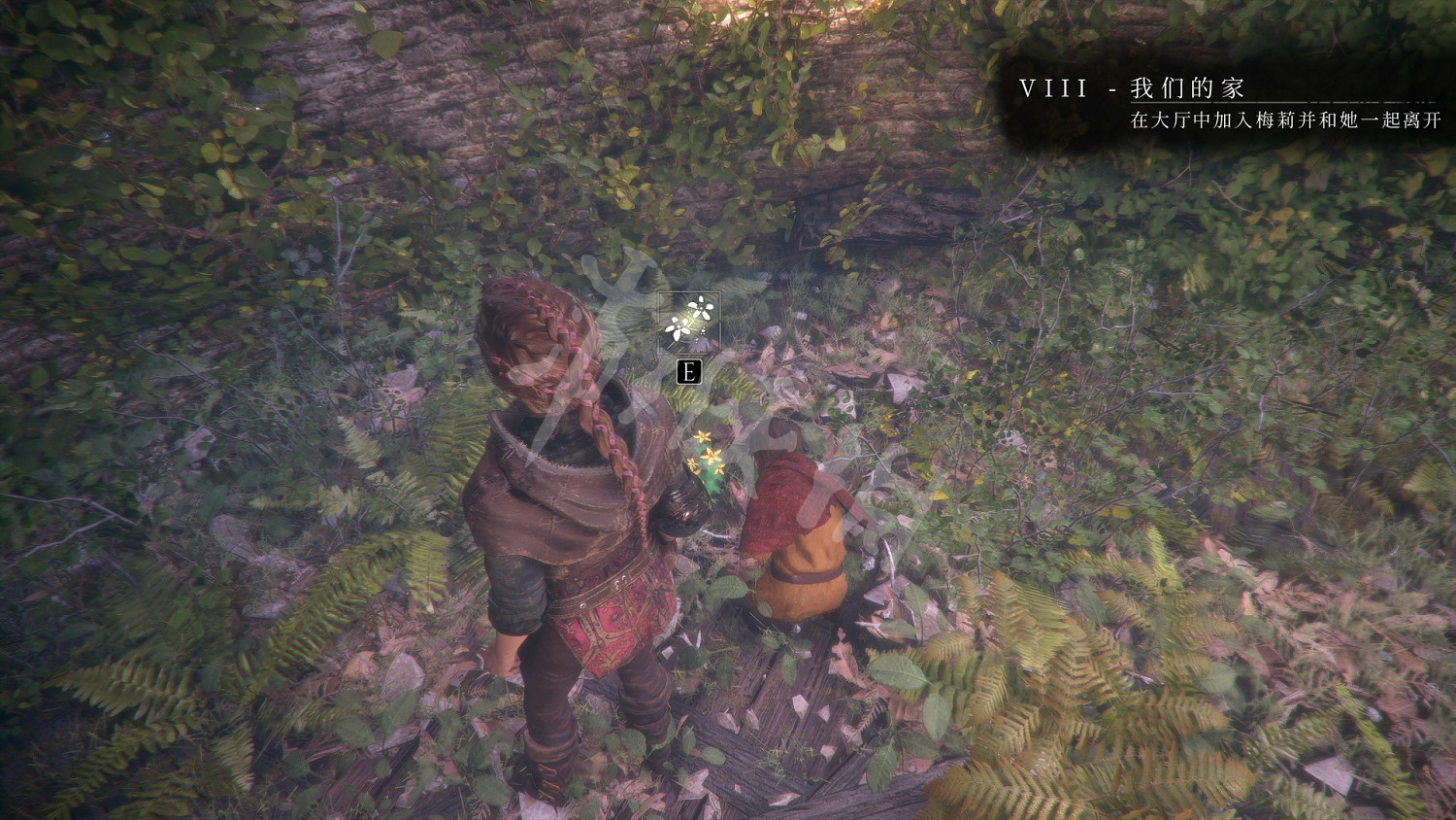 《瘟疫傳說無罪》收集攻略大全 全奇珍+全禮物+全植物標本收集攻略